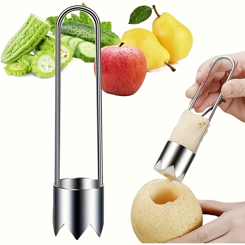Kitchen Gadgets Pakistan - Strumento per Rimuovere Semi di Frutta