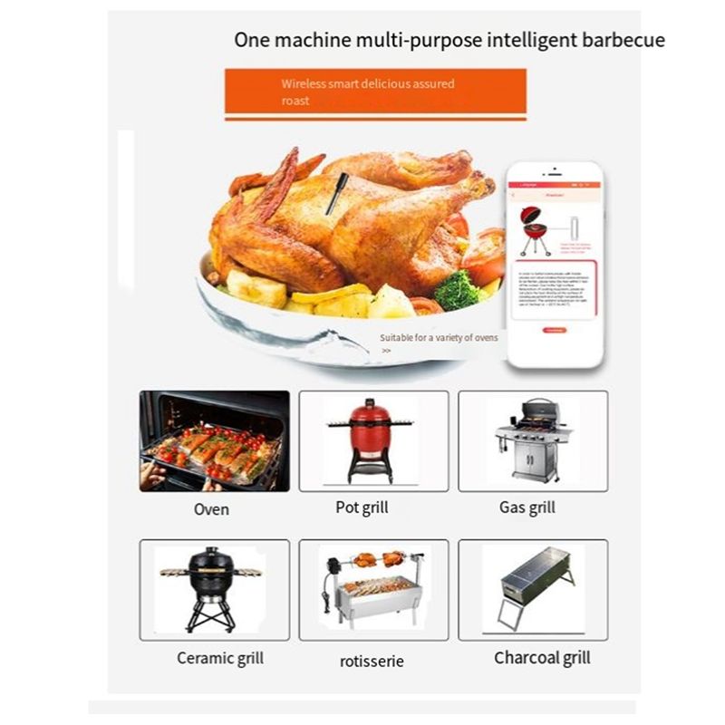 Termometro wireless per carne  - Meat Thermometer recensione e prezzo
