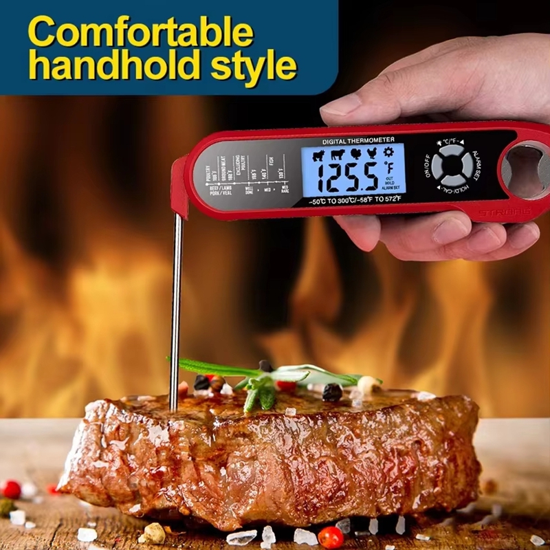 Termometro per carne a doppia  - Meat Thermometer recensione e prezzo