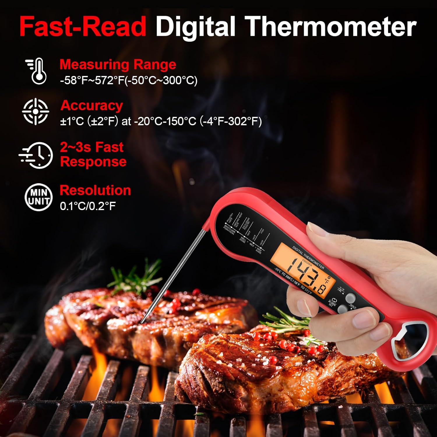 Termometro Professionale per C - Meat Thermometer recensione e prezzo